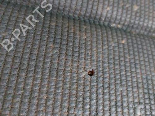 Seats set AUDI A3 (8P1) 2.0 TDI | BP21508498C78 - Image 15