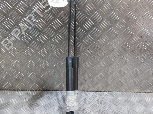 Used Tailgate lift support CITROËN C3 II (SC_) 1.4 VTi 95 (95 hp) 21513439