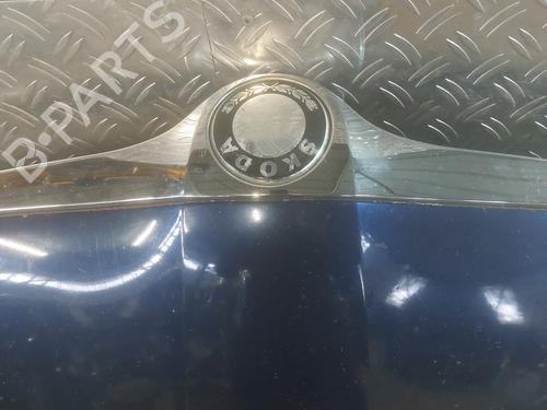 Hood SKODA FABIA II (542) 1.4 TDI | BP21513608C1 