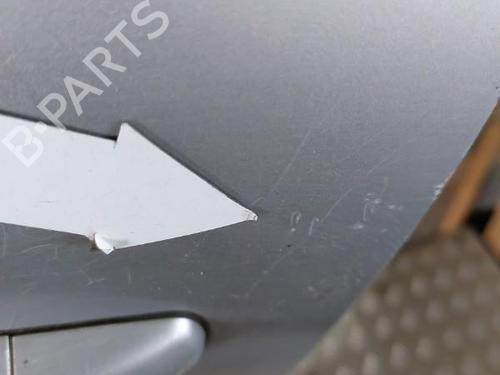 Left front door PEUGEOT 207 (WA_, WC_) 1.6 HDi | BP21512299C2 