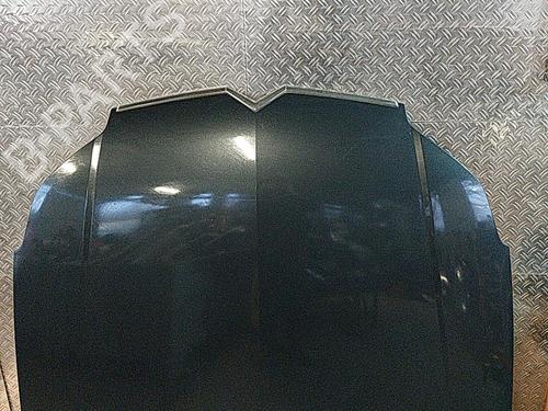Used Hood CITROËN C5 II (RC_) 1.6 HDi (RC8HZB) (109 hp) 21508834