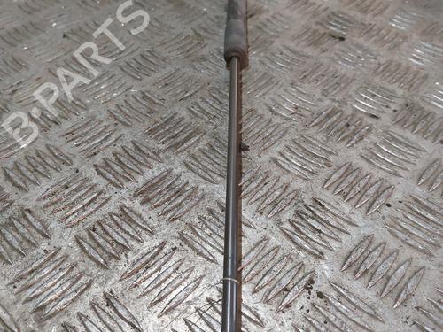Used Hood lift support DACIA DUSTER (HS_) 1.5 dCi (HSAJ) (90 hp) 21504838