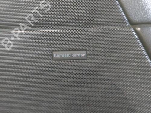 Right front door LAND ROVER RANGE ROVER SPORT I (L320) 2.7 D 4x4 | BP25441859C3 