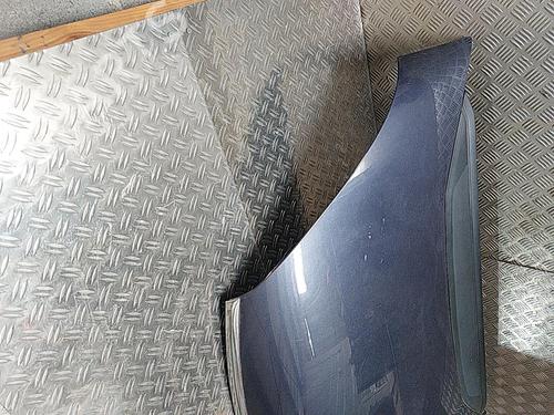 Hood CITROËN C4 Grand Picasso I (UA_) 1.6 HDi 110 | BP21504668C1 