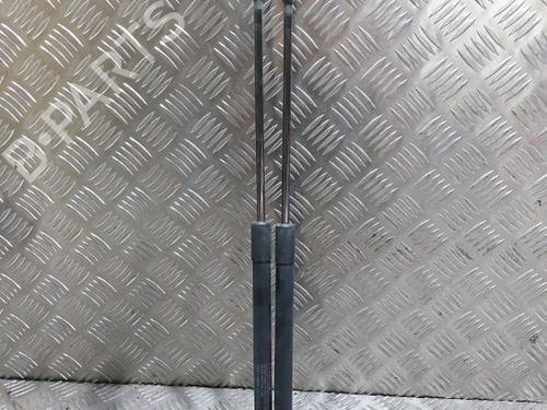 Used Tailgate lift support NISSAN QASHQAI / QASHQAI +2 I (J10, NJ10, JJ10E) 1.5 dCi (110 hp) 21505470