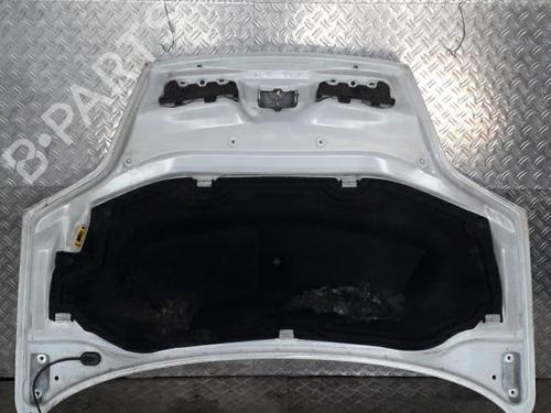 Motorhjelm Motorhjelm RENAULT SCÉNIC I MPV (JA0/1_, FA0_) 1.6 (JA00, JA16, JA15, JA19, JA1V, JA2B, JA2C, JA0B,... (107 hp) 21506390 21506390