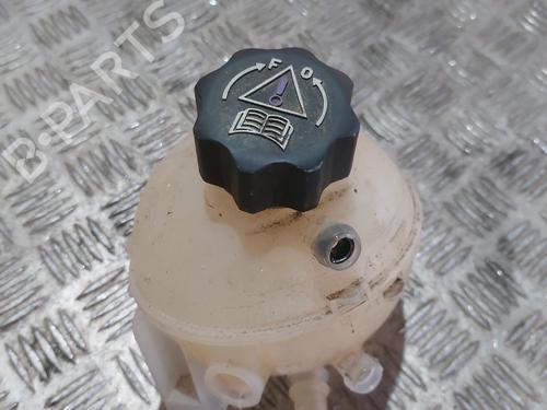 Used Expansion tank CITROËN C4 Grand Picasso I (UA_) 2.0 HDi 138 (136 hp) 22224343