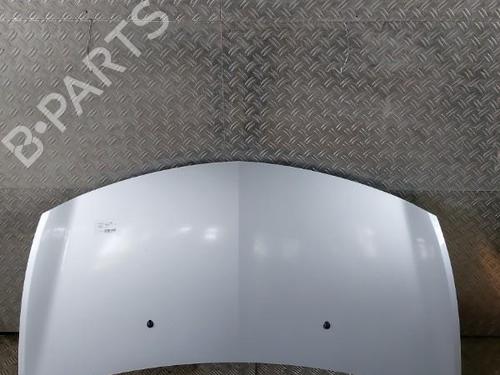 Used Hood RENAULT CLIO III (BR0/1, CR0/1) 1.2 16V (BR0R, BR1D, BR1L, CR0R) (65 hp) 21503577