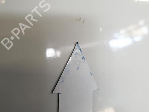 Hood RENAULT CLIO III (BR0/1, CR0/1) 1.5 dCi (BR17, CR17) | BP21506966C1 