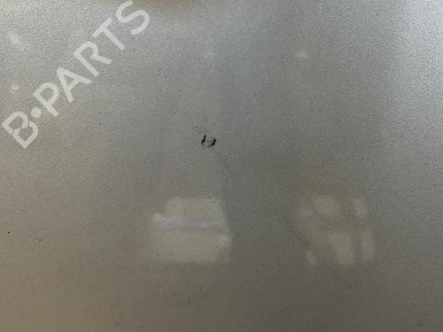 Capot RENAULT CLIO III (BR0/1, CR0/1) 1.5 dCi (C/BR0G, C/BR1G) (68 hp) 21515314