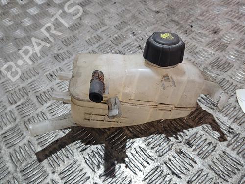Used Expansion tank RENAULT MEGANE III Coupe (DZ0/1_) 1.9 dCi (DZ0N, DZ0J, DZ1J, DZ1K) (131 hp) 21670461
