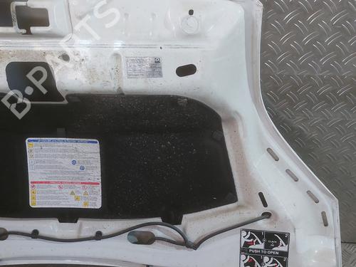 Hood CITROËN NEMO MPV 1.4 HDi | BP27539705C1 