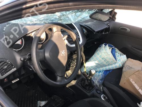 Left rear door PEUGEOT 206+ (2L_, 2M_) 1.4 i (2LKFWA, 2MKFWA) | BP21668513C4