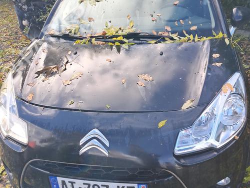 Køfangervange CITROËN C3 II (SC_) 1.6 HDi 90 | BP33298876C73 - Image 7