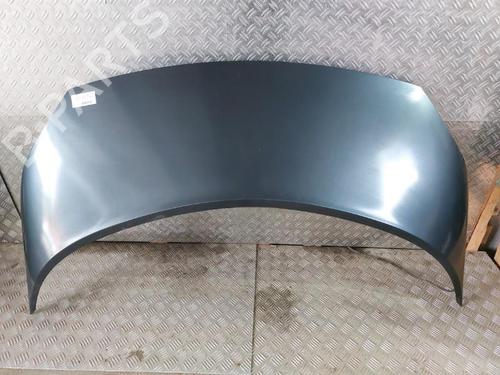 Used Hood RENAULT GRAND SCÉNIC II (JM0/1_) 1.9 dCi (JM14) (131 hp) 21503480