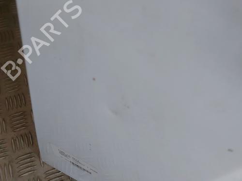 Hood FORD TRANSIT CONNECT (P65_, P70_, P80_) 1.8 Di | BP29039316C1