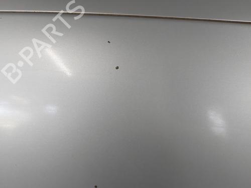 Hood CITROËN XSARA Coupe (N0) 2.0 HDI 90 | BP24516366C1 