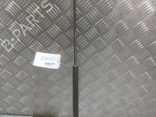 Tailgate lift support PEUGEOT 107 (PM_, PN_) 1.0 | BP24999507C138 