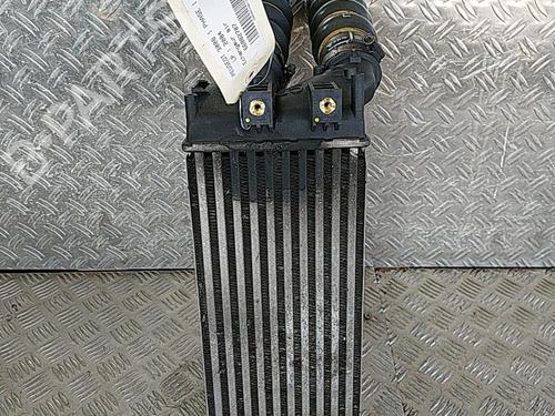 Used Intercooler Intercooler PEUGEOT 3008 I MPV (0U_) 1.6 HDi (112 hp) 21514846 21514846