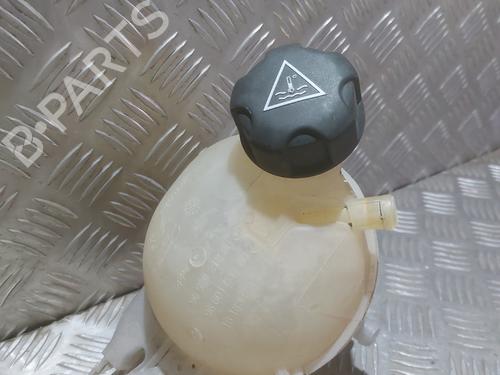 expansion-tank-citroen-ds3-sa_-2009-2010-2011-2012-2013-2014-2015-2016-29913082 main image