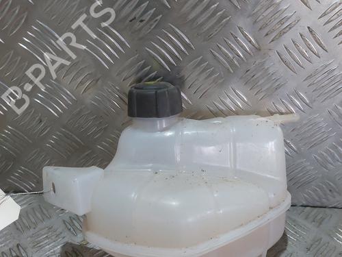 Used Expansion tank RENAULT KADJAR (HA_, HL_) 1.2 TCe 130 (HLMR) (130 hp) 23811163