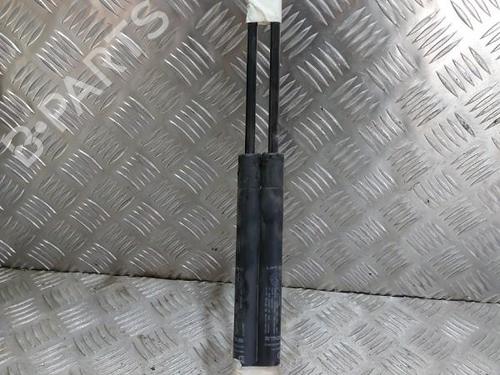 Tailgate lift support FIAT GRANDE PUNTO (199_) 1.2 | BP21503363C138 