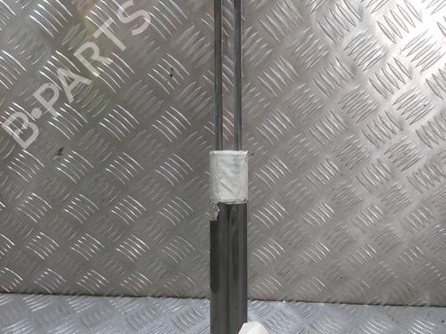 tailgate-lift-support-fiat-panda-169_-2003-24503084 main image