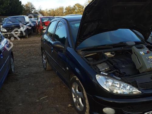 Right front door PEUGEOT 206 Hatchback (2A/C) 2.0 HDI 90 | BP21512568C3 