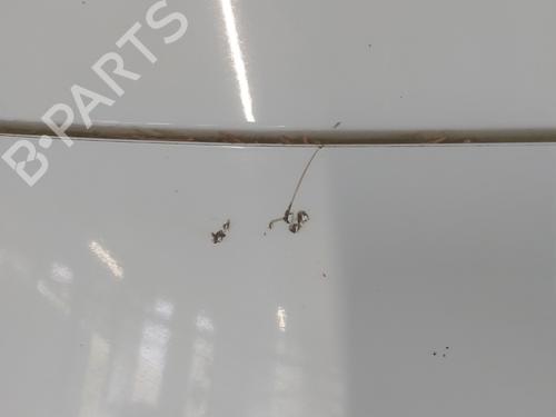 Tailgate FORD PUMA (J2K, CF7) 1.0 Flexifuel | BP21669384C6