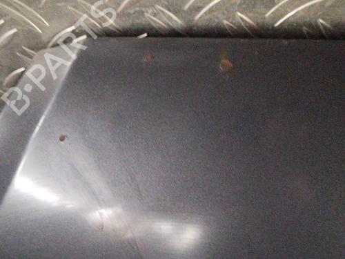 Hood FORD FOCUS II (DA_, HCP, DP) 1.6 TDCi | BP21505084C1