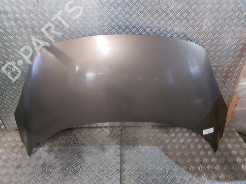 Used Hood RENAULT SCÉNIC III (JZ0/1_) 1.9 dCi (JZ0J, JZ1J, JZ1K, JZ1S) (131 hp) 21671248