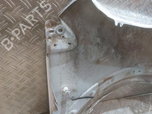 Left front fenders FORD TRANSIT CONNECT (P65_, P70_, P80_) 1.8 Di | BP29361365C41 