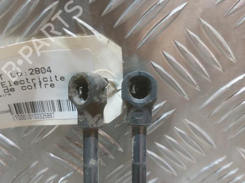 Tailgate lift support RENAULT ZOE (BFM_) ZOE (BFMC, BFMD) | BP24467348C138