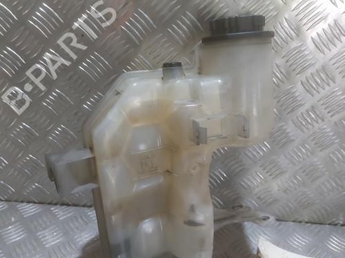 Used Expansion tank LAND ROVER RANGE ROVER SPORT I (L320) 2.7 D 4x4 (190 hp) 25441867