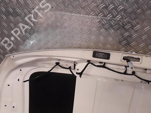 Tailgate PEUGEOT 207 CC (WD_) 1.6 16V | BP21511385C6 