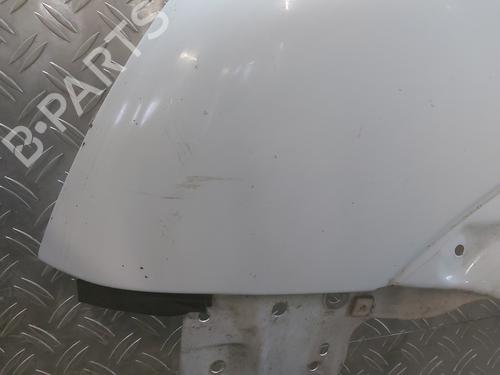 Left front fenders FORD TRANSIT CONNECT (P65_, P70_, P80_) 1.8 Di | BP29361365C41 