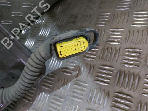 Left rear door RENAULT SCÉNIC III (JZ0/1_) 1.9 dCi (JZ0J, JZ1J, JZ1K, JZ1S) | BP21671255C4 