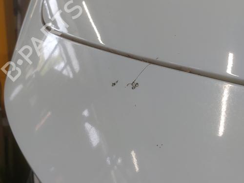 Tailgate FORD PUMA (J2K, CF7) 1.0 Flexifuel | BP21669384C6