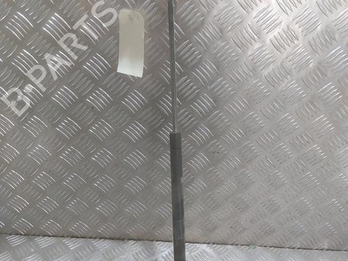Used Hood lift support CITROËN XSARA Coupe (N0) 2.0 HDI 90 (90 hp) 24516388