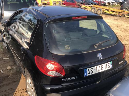 Left rear door PEUGEOT 206+ (2L_, 2M_) 1.4 i (2LKFWA, 2MKFWA) | BP21668513C4