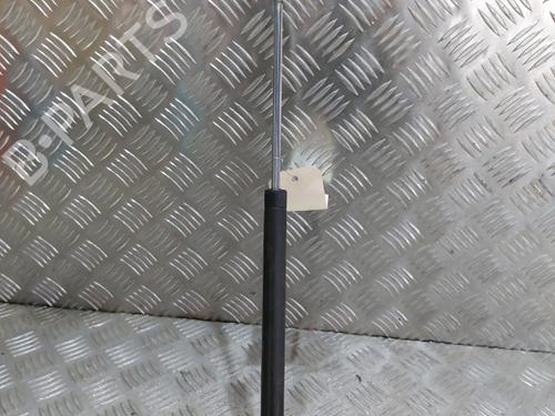 Tailgate lift support RENAULT TWINGO I (C06_) 1.2 (C066, C068) | BP21505846C138 