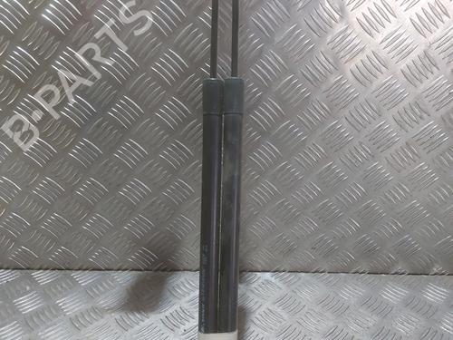 tailgate-lift-support-renault-modus-grand-modus-fjp0_-2004-29477012 main image