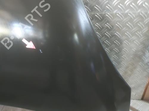 Hood RENAULT SCÉNIC III (JZ0/1_) 1.9 dCi (JZ0J, JZ1J, JZ1K, JZ1S) | BP26461840C1 