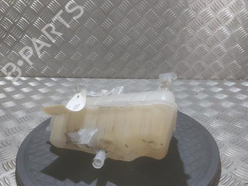 Used Expansion tank Expansion tank RENAULT KANGOO Express (FW0/1_) 1.5 dCi 90 (FW0G, FW05, FW08, FW11) (90 hp) 32217513 32217513