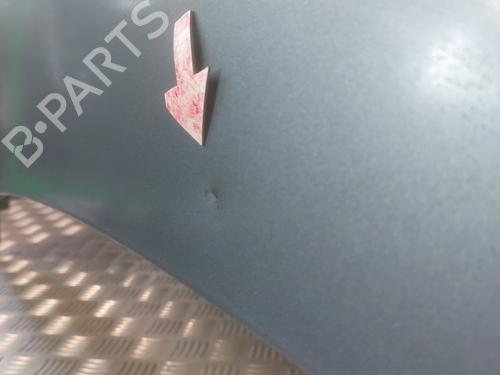Hood PEUGEOT 406 (8B) 2.0 HDI 110 | BP25487222C1
