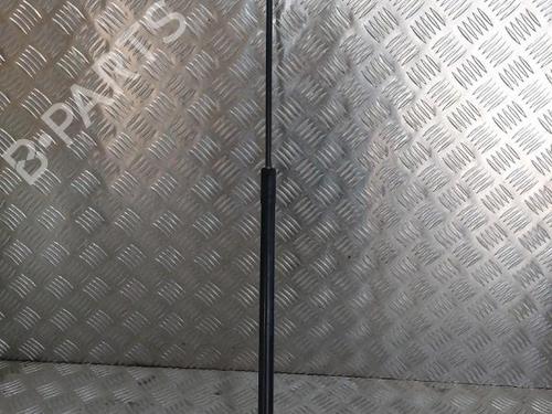 Hood lift support AUDI A3 Sportback (8VA, 8VF) 2.0 TDI | BP21512353C139 