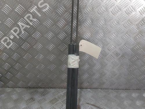 Tailgate lift support FORD S-MAX (WA6) 2.0 TDCi | BP23810863C138 