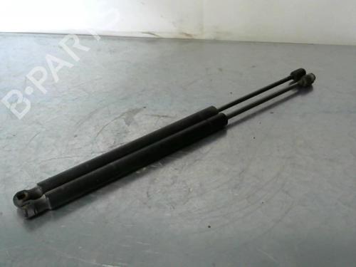 Used Tailgate lift support RENAULT SCÉNIC II (JM0/1_) 1.9 dCi (JM0G, JM12, JM1G, JM2C) (120 hp) 27318069