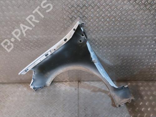 Right front fenders RENAULT CLIO III (BR0/1, CR0/1) 1.5 dCi (C/BR0G, C/BR1G) | BP21669877C42 