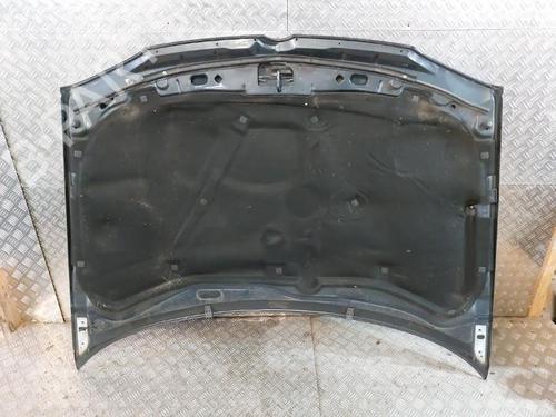 Used Hood VW GOLF IV (1J1) 1.9 TDI (101 hp) 21508954